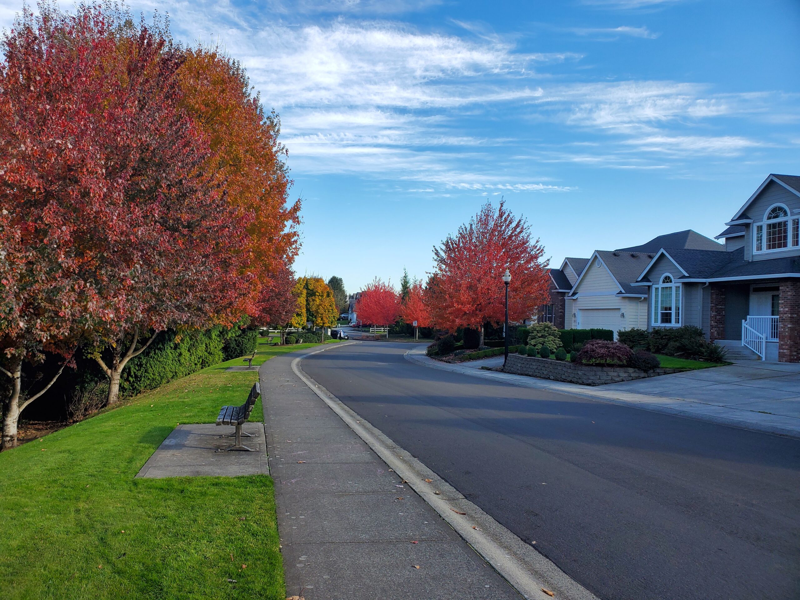 Autumn street with vibrant red and orange trees in the neighborhood
