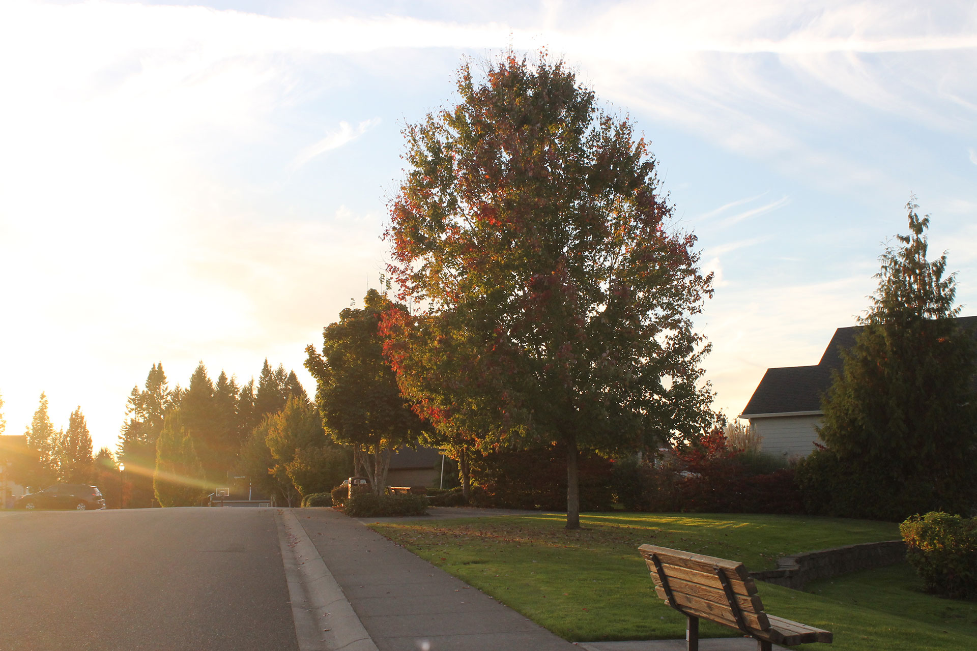 Whipple Creek Place neighborhood photo