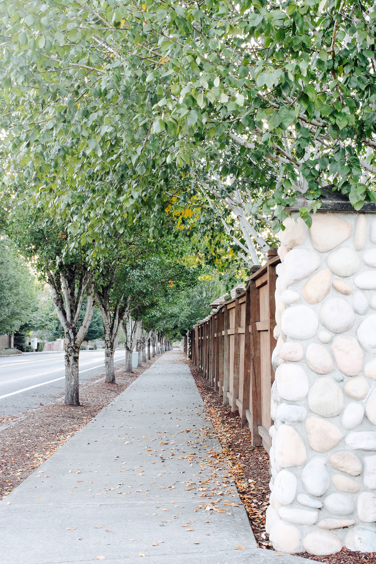 Whipple Creek Place neighborhood photo