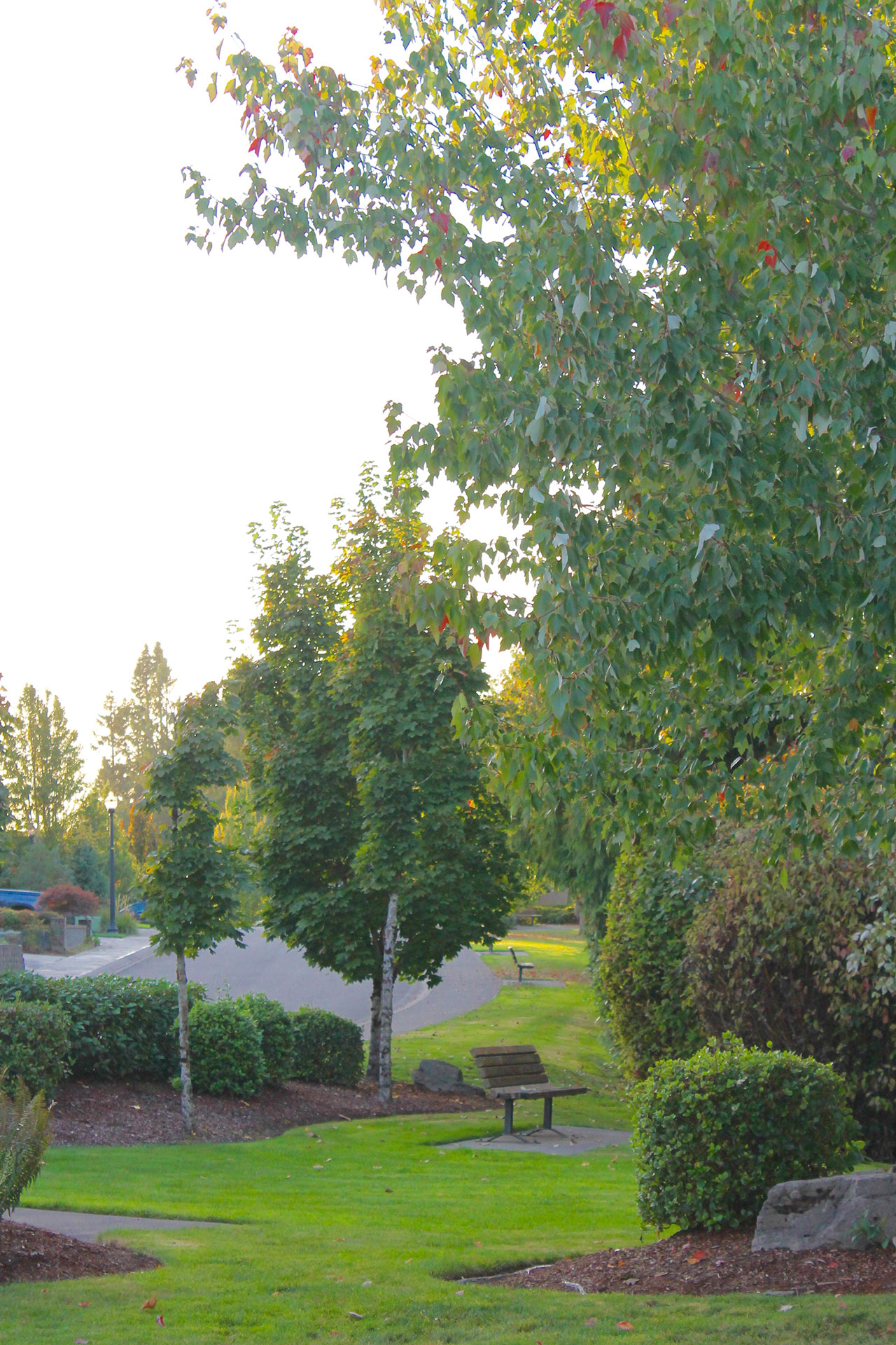 Whipple Creek Place neighborhood photo